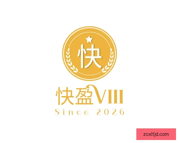 认识快盈VIII